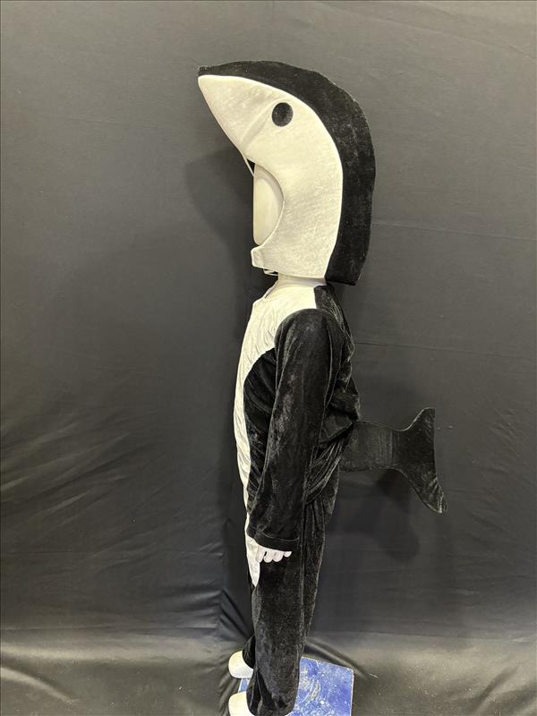 2623 DOLFHIN 3 PCS ANIMAL DRESS K B Dresswala