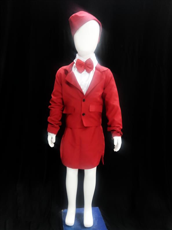 2647 AIR HOSTESS FANCY DRESS K B Dresswala