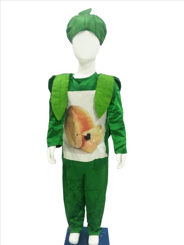 2842 CHIKU Vegetables & Fruits K B Dresswala