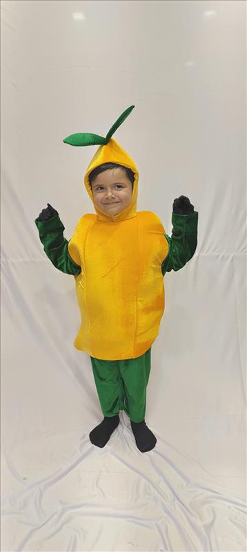 3766 SP MANGO Vegetables & Fruits K B Dresswala