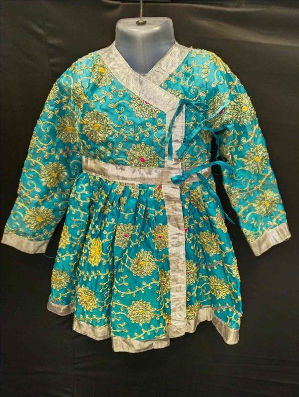 4339 PISTA GOLDEN WORK SLIVER BORDER-17 ANGARKHA K B Dresswala